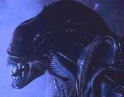 alien.jpg (6155 bytes)