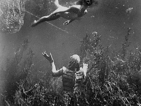 creature1.jpg (41087 bytes)