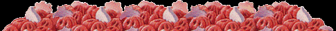 frankenbottom.gif (15793 bytes)