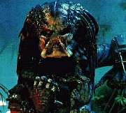 predator1.jpg (16935 bytes)