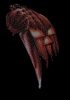 pumpkin.gif (17593 bytes)